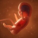 Barroso vota por descriminalizar aborto até 12ª semana de gestação