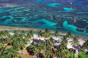 UMA VIAGEM HISTÓRIA À PORTO DE GALINHAS